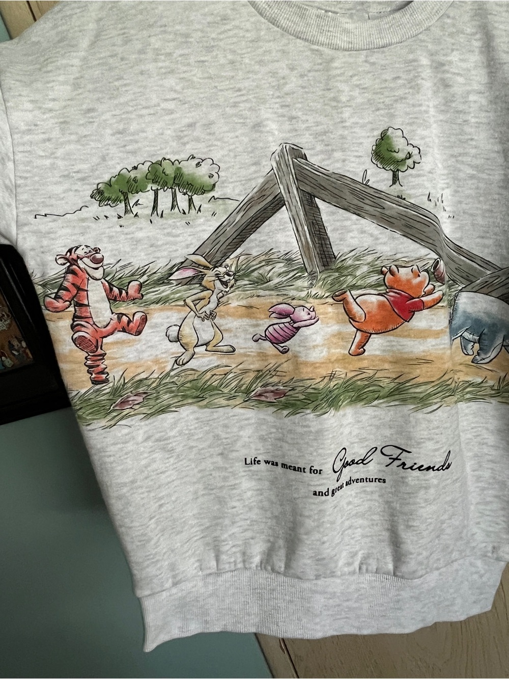 Disney Winnie the Pooh 100 Acre Wood Gang Sweatshirt Sz Small Friends - Picture 3 of 11